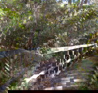 Awaba Bay Foreshore Walk - Yamba Accommodation