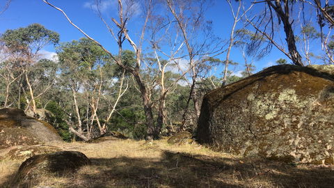 Bailey's Rocks - Dergholm State Park - Yamba Accommodation 0