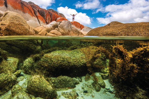 Bay Of Fires - Yamba Accommodation 0