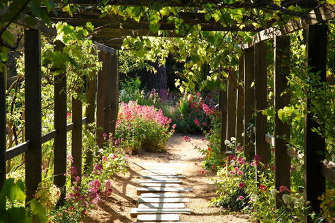 Buda Historic Home & Garden - Yamba Accommodation 2