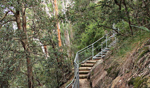 Caleys Lookout Track - Yamba Accommodation 0