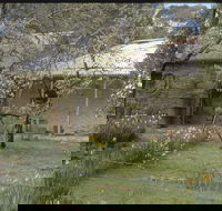Castlemaine Diggings National Heritage Park - Yamba Accommodation