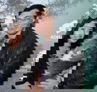 Cleland Wildlife Park - Koala Hold - Yamba Accommodation