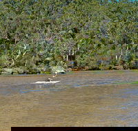 Fitzpatrick Park - Yamba Accommodation