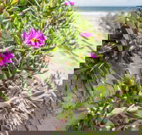 Fort Bribie - Yamba Accommodation