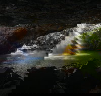 Gondwana Rainforests of Australia World Heritage Area - Yamba Accommodation