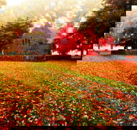 Gostwyck Chapel - Yamba Accommodation