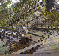 Governor Summit Corrunbral Borawah Walking Track - Yamba Accommodation