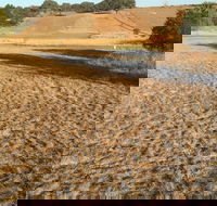 Gunning Golf Club - Yamba Accommodation