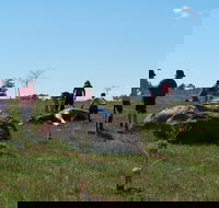 Jim Salmon  Wetland Education Site - Yamba Accommodation