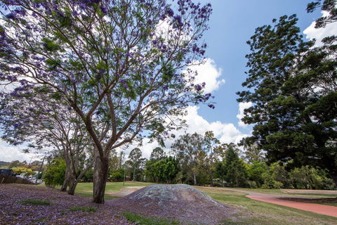 John Scott Park - Yamba Accommodation 0