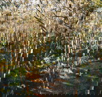 Leeuwin-Naturaliste National Park - Cowaramup - Yamba Accommodation