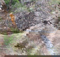 Mill-bullah Walking Track - Yamba Accommodation