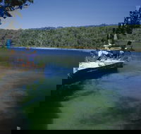 Naree Budjong Djara National Park - Yamba Accommodation