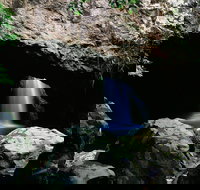 Natural Bridge Circuit Springbrook National Park - Yamba Accommodation