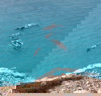 Nullarbor National Park - Yamba Accommodation