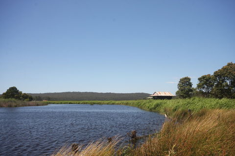 Panboola Wetlands - Yamba Accommodation 0