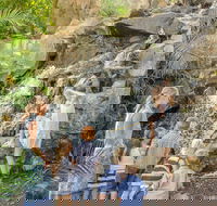 Queens Park Waterfall - Yamba Accommodation