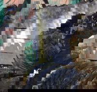 Skirmish Sunshine Coast Outdoor Paintball - Yamba Accommodation