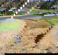 Stratford Historical Society and Museum - Yamba Accommodation