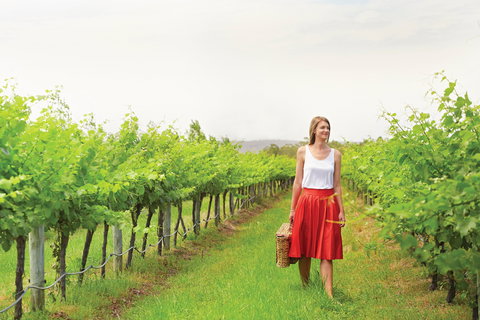 Swan Valley - Yamba Accommodation 0