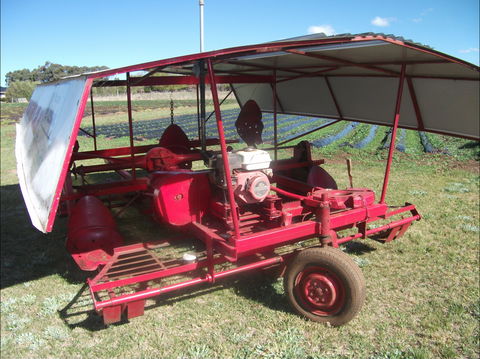 The Super Strawberry - Yamba Accommodation 2
