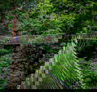 Thunderbird Park  - Tamborine Mountain Gold Coast Region - Yamba Accommodation