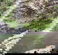 Twin Falls Circuit Springbrook National Park - Yamba Accommodation