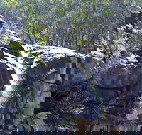 Ugly Corner Falls Walking Track - Yamba Accommodation