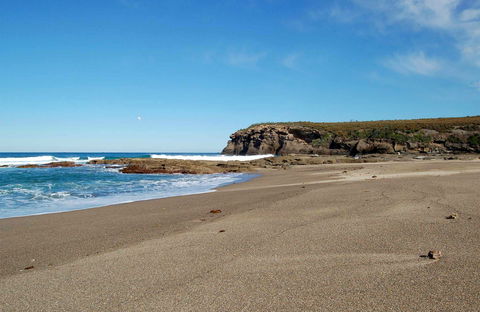 Wallarah National Park - Yamba Accommodation 0