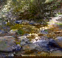 Washpool Walking Track - Yamba Accommodation