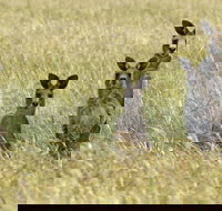 Woodlands Historic Park - Yamba Accommodation