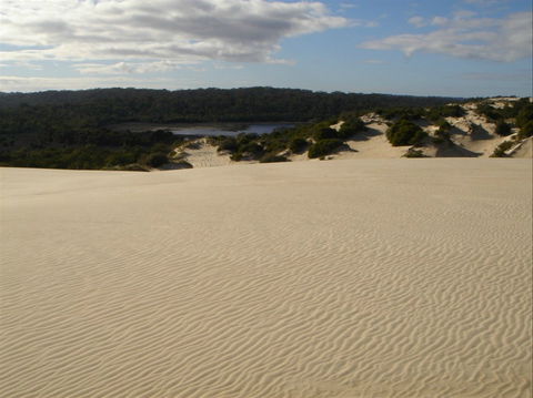 Yeagerup Sand Dunes - Yamba Accommodation 0