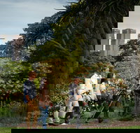 Aboriginal Heritage Walk - Yamba Accommodation