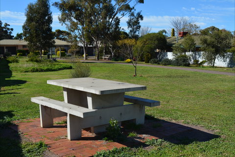 Apex Park & Picnic Area - Yamba Accommodation 1