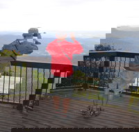 Best of All lookout track Springbrook National Park - Yamba Accommodation