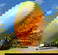 Big Mango - Yamba Accommodation