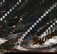 Boomerang Farm Bike Park - Yamba Accommodation