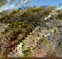 Boonoo Boonoo Falls picnic area - Yamba Accommodation