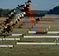 Camden Bicentennial Equestrian Park - Yamba Accommodation