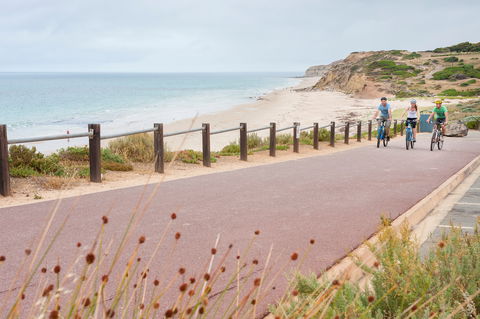 Coast To Vines Rail Trail - Yamba Accommodation 0
