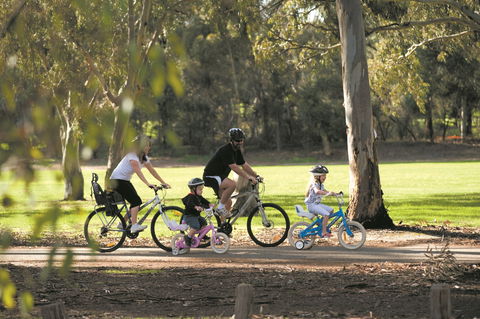Coast To Vines Rail Trail - Yamba Accommodation 1