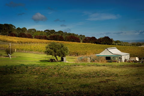 Coast To Vines Rail Trail - Yamba Accommodation 2
