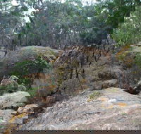 Dergholm State Park - Yamba Accommodation