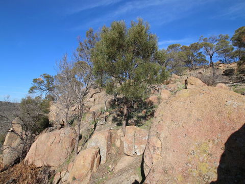 Eldorado And The Woolshed Valley - Yamba Accommodation 2