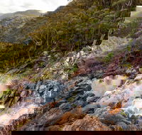 Gibraltar Range National Park - Yamba Accommodation