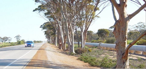 Golden Pipeline Heritage Trail - Yamba Accommodation 0