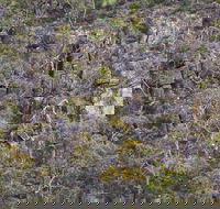 Horsnell Gully and Giles Conservation Parks - Yamba Accommodation