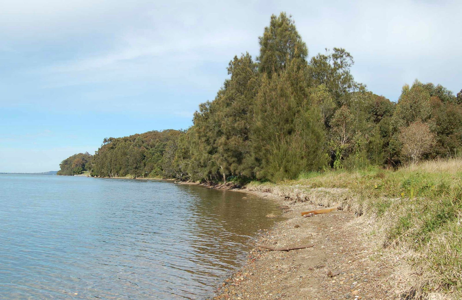 Yarrawonga Park NSW Yamba Accommodation