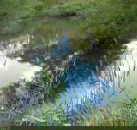 Mullion Range State Conservation Area - Yamba Accommodation